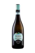 Tommasone Forastera - confezione da 6 bottiglie